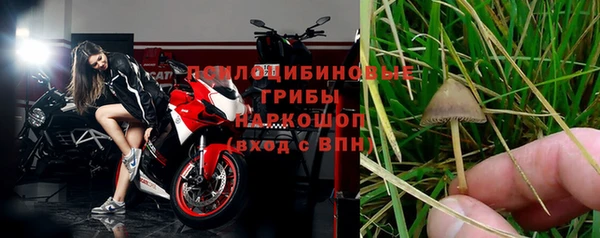 герыч Зеленодольск